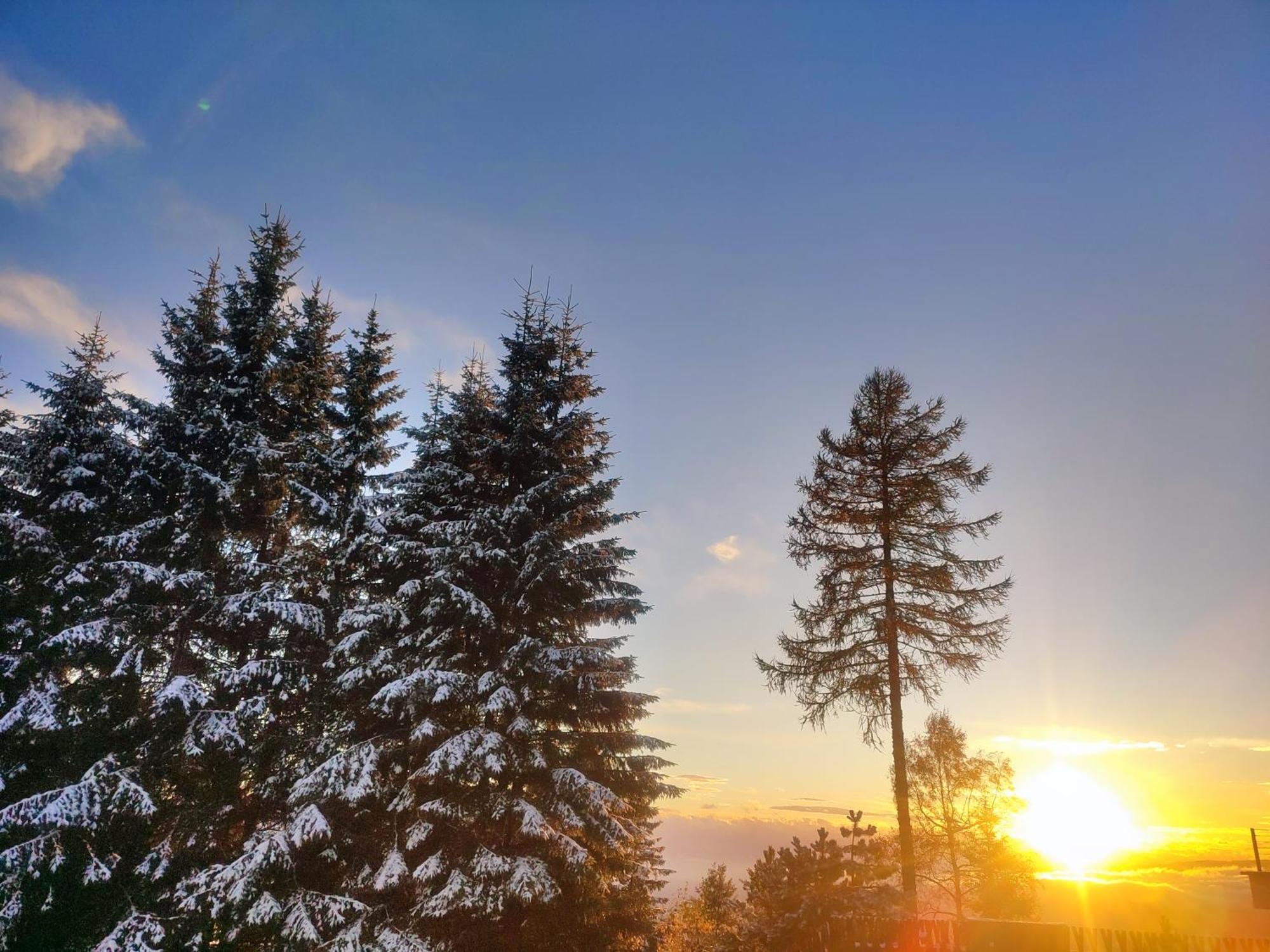 Nature Living Koralm - Neue Chalets Auf Der Koralpe Im Schi- Und Wanderparadies Sankt Stefan im Lavanttal Buitenkant foto