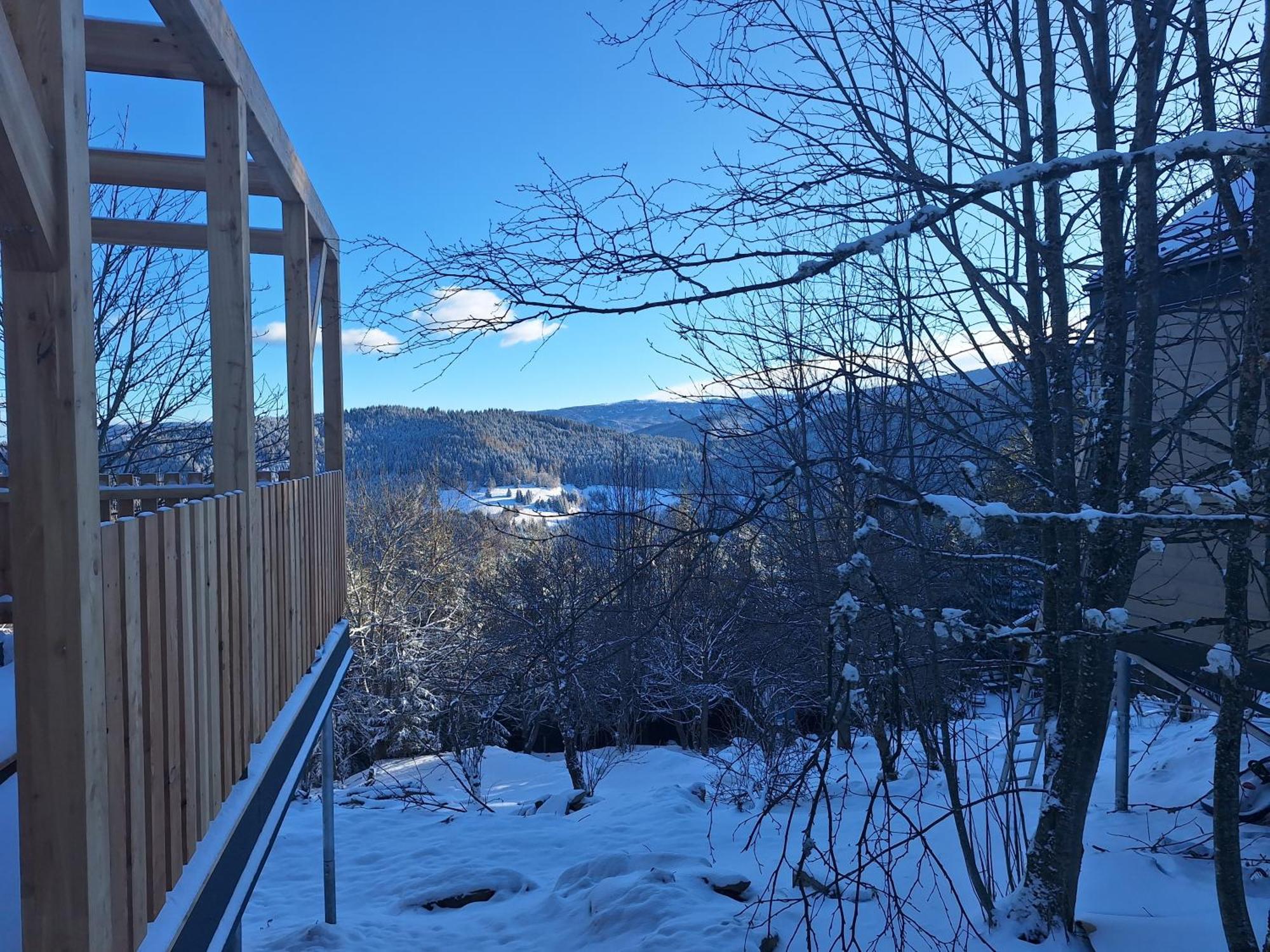 Nature Living Koralm - Neue Chalets Auf Der Koralpe Im Schi- Und Wanderparadies Sankt Stefan im Lavanttal Buitenkant foto