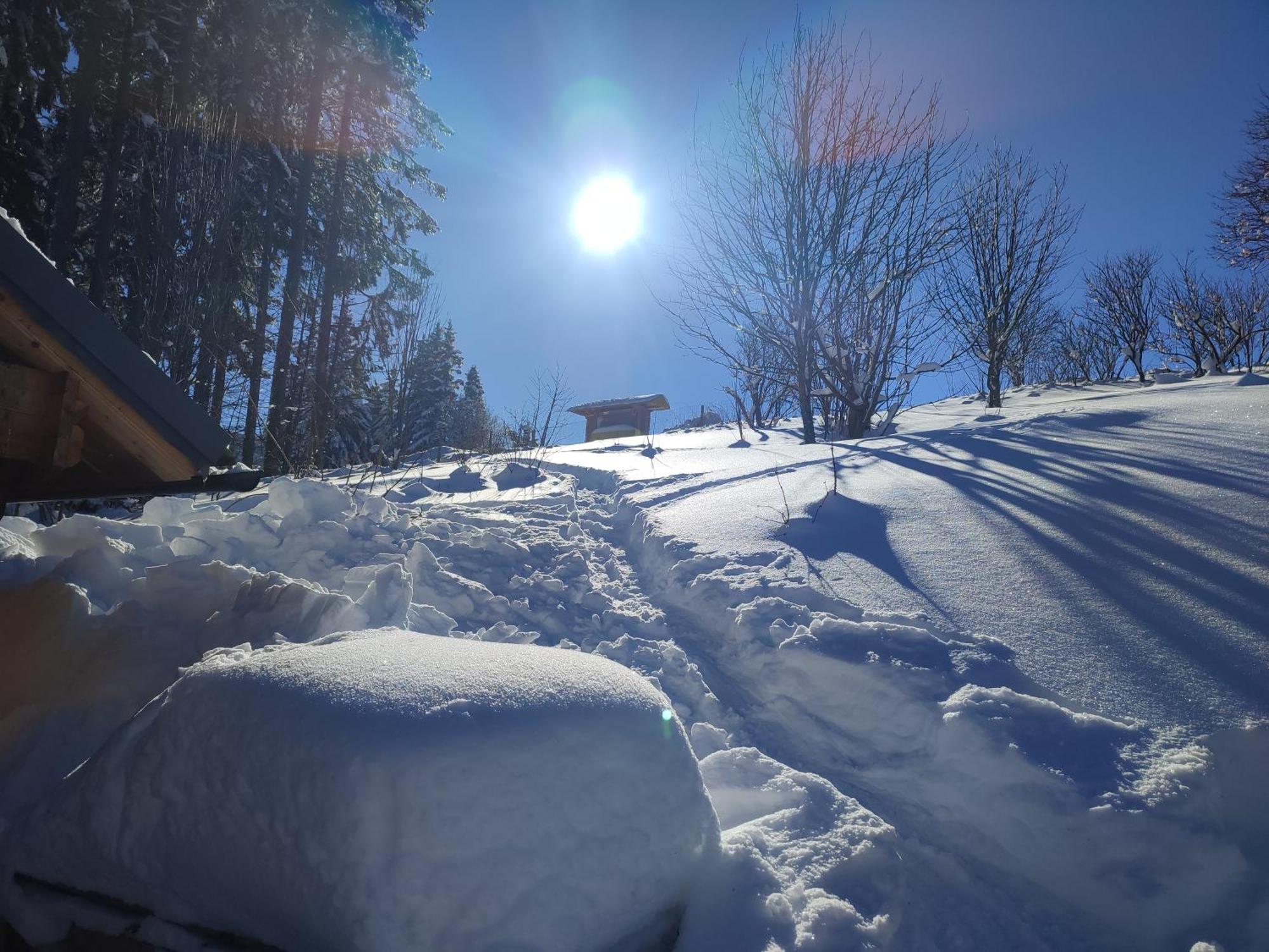 Nature Living Koralm - Neue Chalets Auf Der Koralpe Im Schi- Und Wanderparadies Sankt Stefan im Lavanttal Buitenkant foto